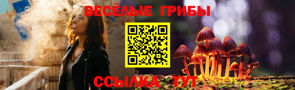 Псилоцибиновые грибы прущие грибы Скопин